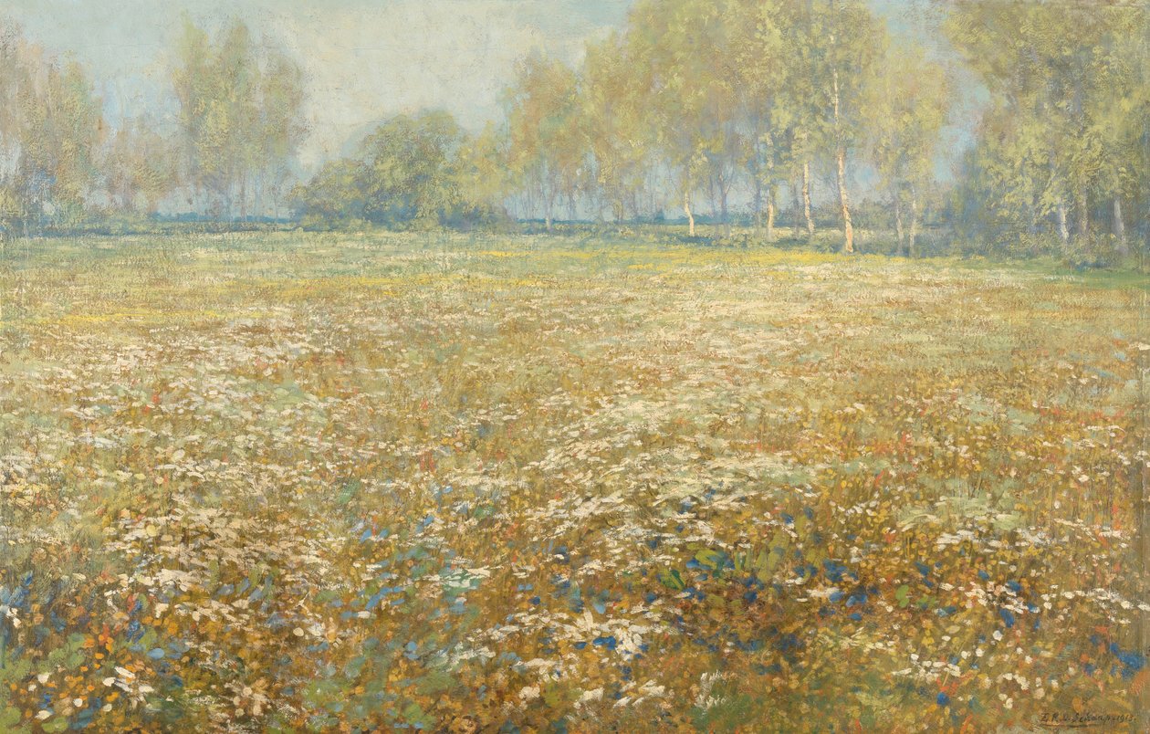 Prairie en fleurs - Egbert Schaap