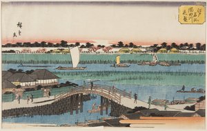 Cerisiers en fleurs le long de la rivière Sumida