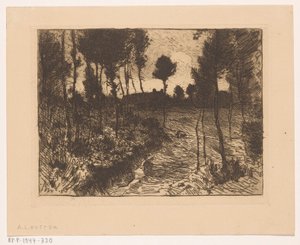 Chemin forestier au crépuscule