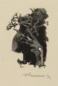 Forêt de Fontainebleau: Le Rageur