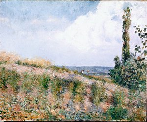Paysage