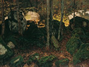 Intérieur de forêt près de Saut du Doubs
