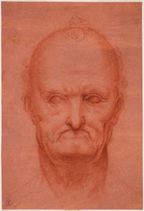 Tête de vieil homme, vers 1515