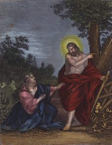 Elle, supposant que Joseph était le jardinier, dit...