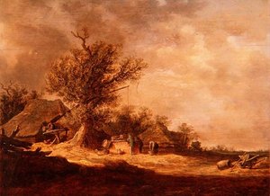 Paysage dans les dunes