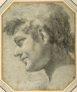 Tête de jeune homme de profil, regardant vers le bas