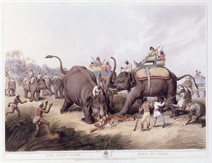Le Tigre mort; Mort du tigre, 1807