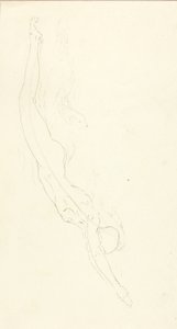 Le plongeon #2