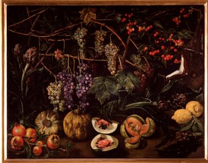 Nature morte avec raisins et courges