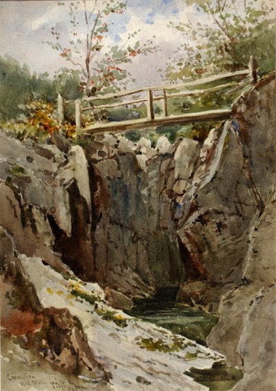 Curmillon, Mid-Wales, 1884 - Peter Toft